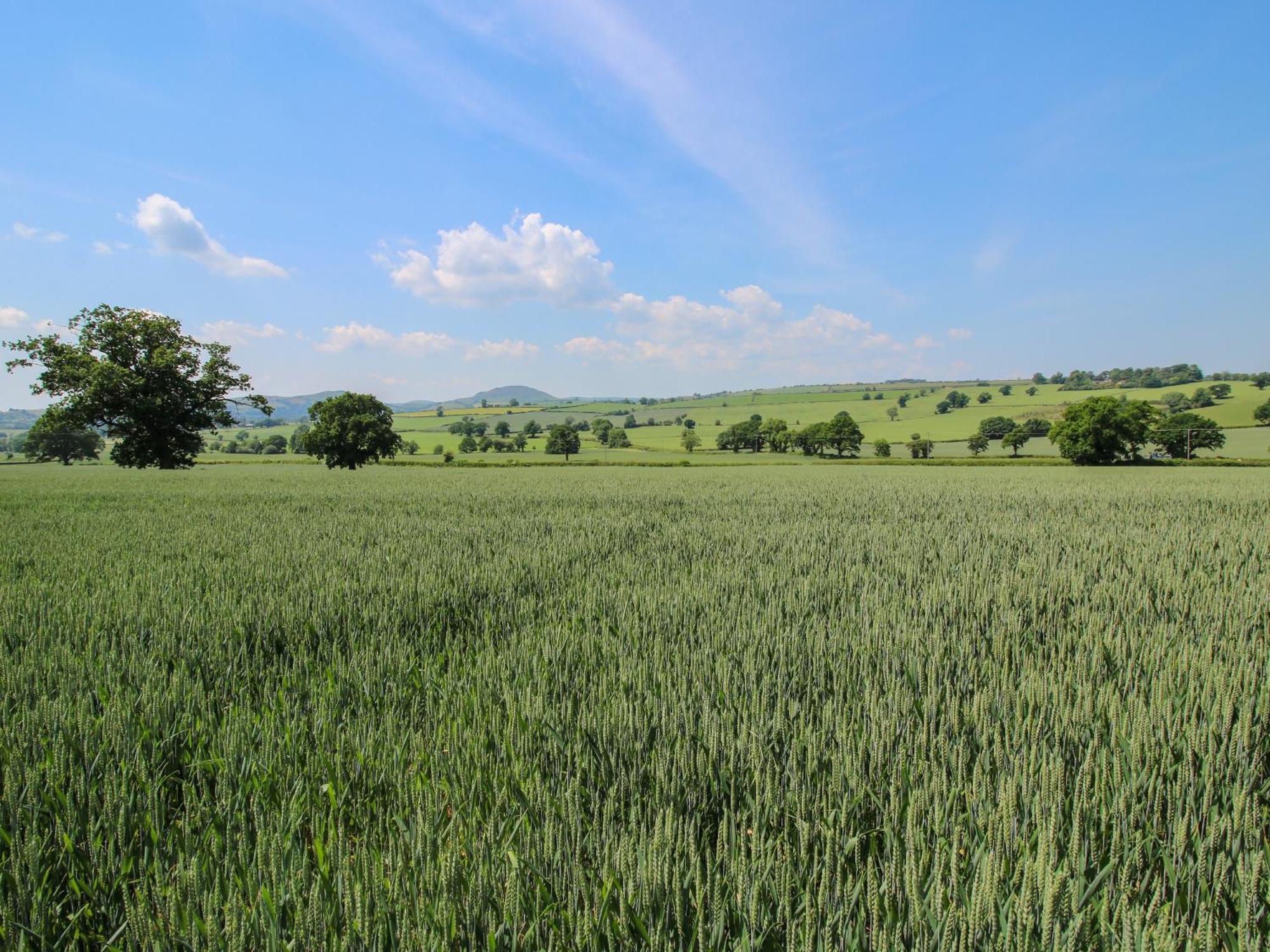 Willa Corn House Plaish Zewnętrze zdjęcie